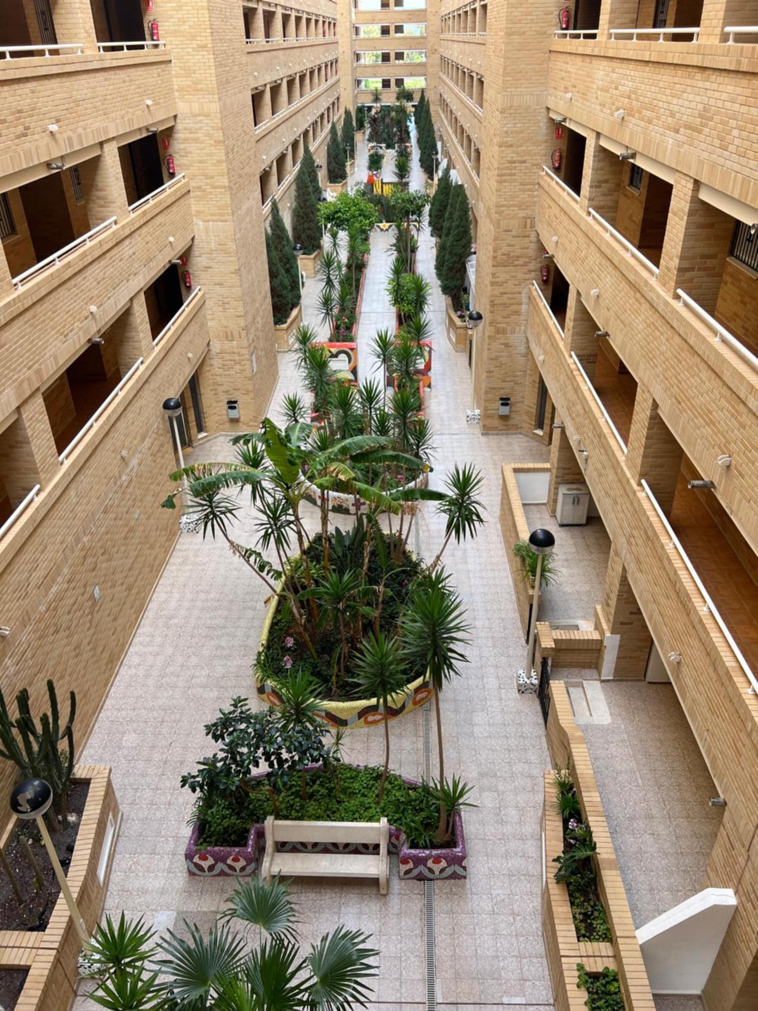 Apartamento Oropesa Marinador Oropesa del Mar Buitenkant foto